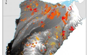 La lluvia comienza a apagar el fuego luego que se quemó el 11% de Corrientes