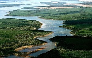 Se reduce el incendio en el Iberá y se prevé su extinción en las próximas horas