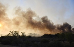 Fuego en Santa Ana: 10 dotaciones de bomberos y un avión hidrante trabajan en el lugar