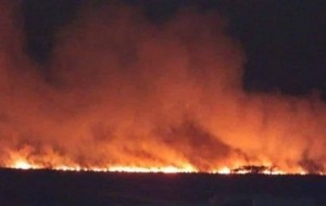 Afirman que el fuego en los Esteros del Ibera “está descontrolado”