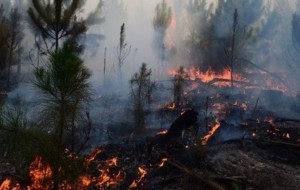 Hay 10 focos ígneos en Corrientes en medio de temperaturas extremas
