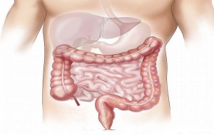 Estudian un tratamiento que bloquea el crecimiento del Cáncer de Colon
