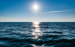 Por el cambio climático, la temperatura de océanos y mares está en niveles récords