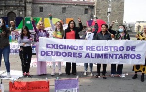 Deudores alimentarios y denunciados por violencia de género no deben participar de eventos públicos