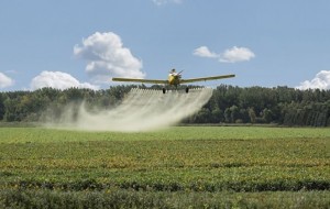 Bayer deberá pagar multa a un hombre que contrajo cáncer por el uso de agrotóxicos