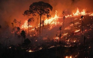 Ya se quemaron más de 15 millones de hectáreas en Sudamérica