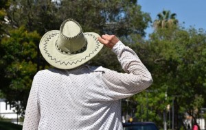 Estudio refleja un progresivo aumento de las olas de calor en el Noreste