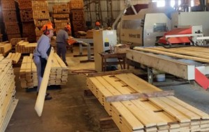 Coletazos del Modelo Milei: podría cerrar un aserradero en Santo Tomé