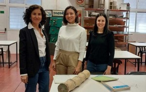 La Guadua Chacoensis: una alternativa para la construcción de viviendas