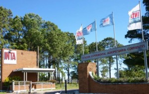 Intervención al Inta: “Vamos a dejar de hacer lo que necesitan el país y los pequeños productores”