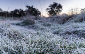 De la emergencia hídrica a heladas intensas en Corrientes