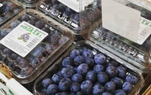 El Banco de Galicia deberá indemnizar a empresa correntina por estafa virtual