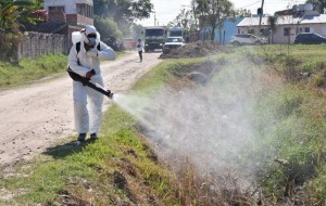 El Gobierno ya anticipa un brote de dengue en la provincia