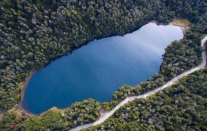 Premian en París el documental argentino sobre Lago Escondido